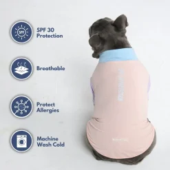 Sunblock Dog T-Shirt - Color Block