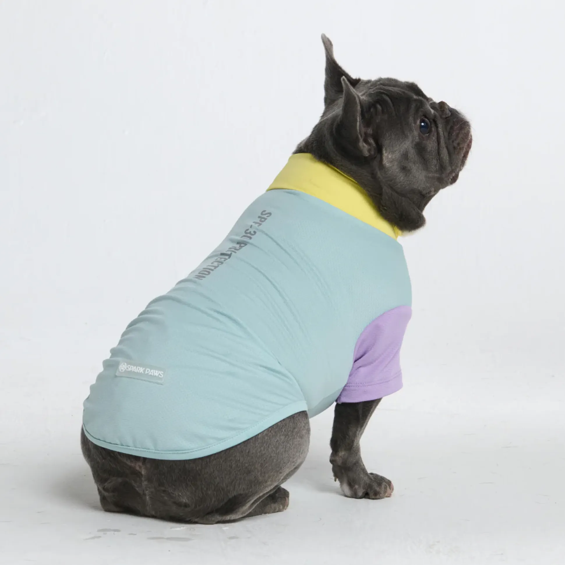 Sunblock Dog T-Shirt - Color Block