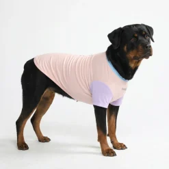 Sunblock Dog T-Shirt - Cotton Candy