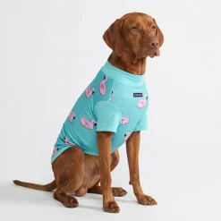 Sunblock Dog T-Shirt - Flamingo