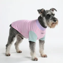 Sunblock Dog T-Shirt - Gelato