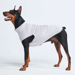 Sunblock Dog T-Shirt - Grey