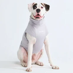 Sunblock Dog T-Shirt - Grey