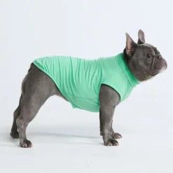 Sunblock Dog T-Shirt - Mint