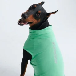 Sunblock Dog T-Shirt - Mint
