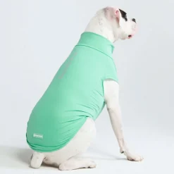 Sunblock Dog T-Shirt - Mint