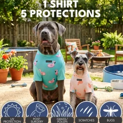 Sunblock Dog T-Shirt 2-pack