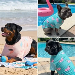 Sunblock Dog T-Shirt 2-pack