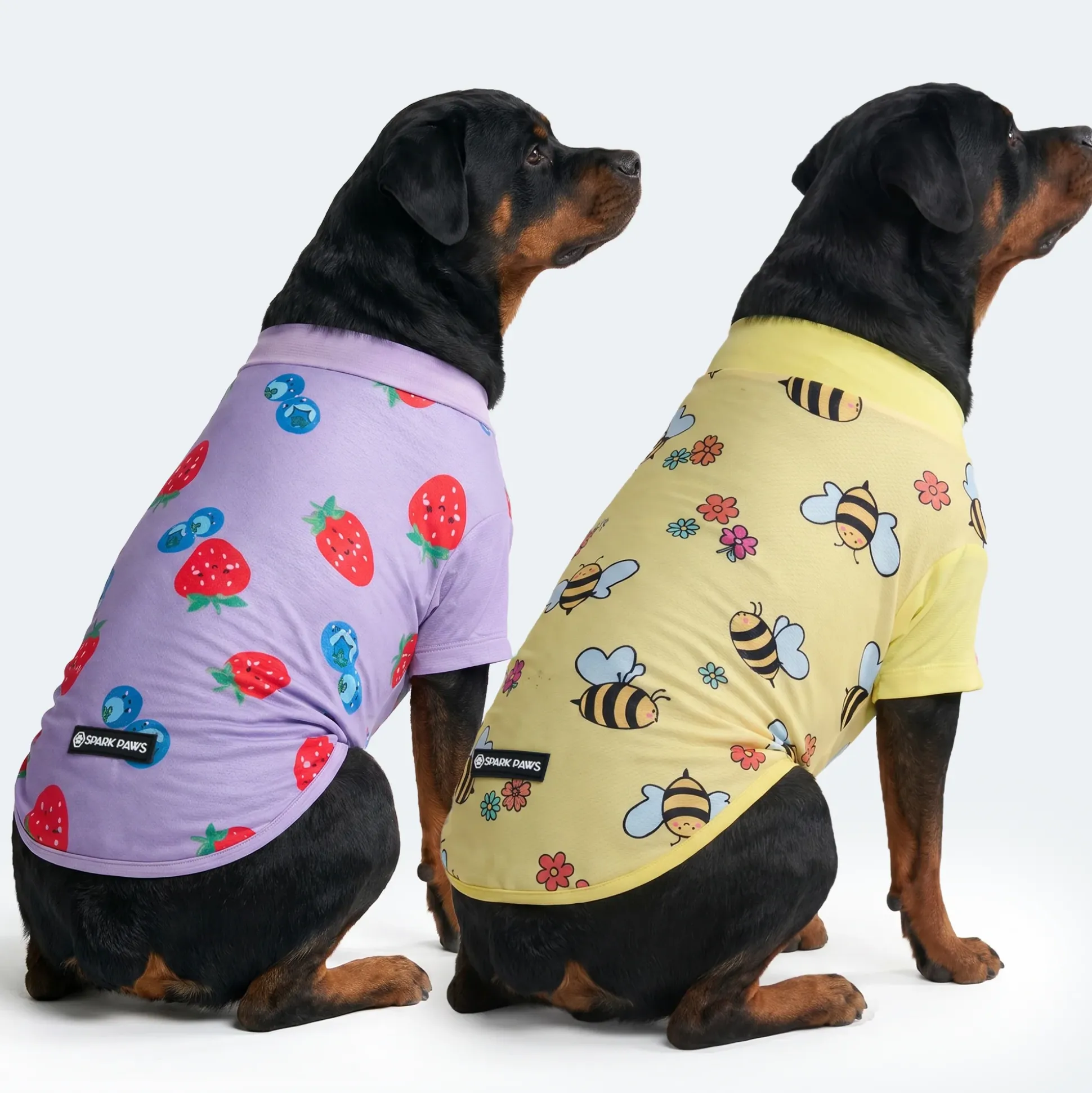 Sunblock Dog T-Shirt 2-pack
