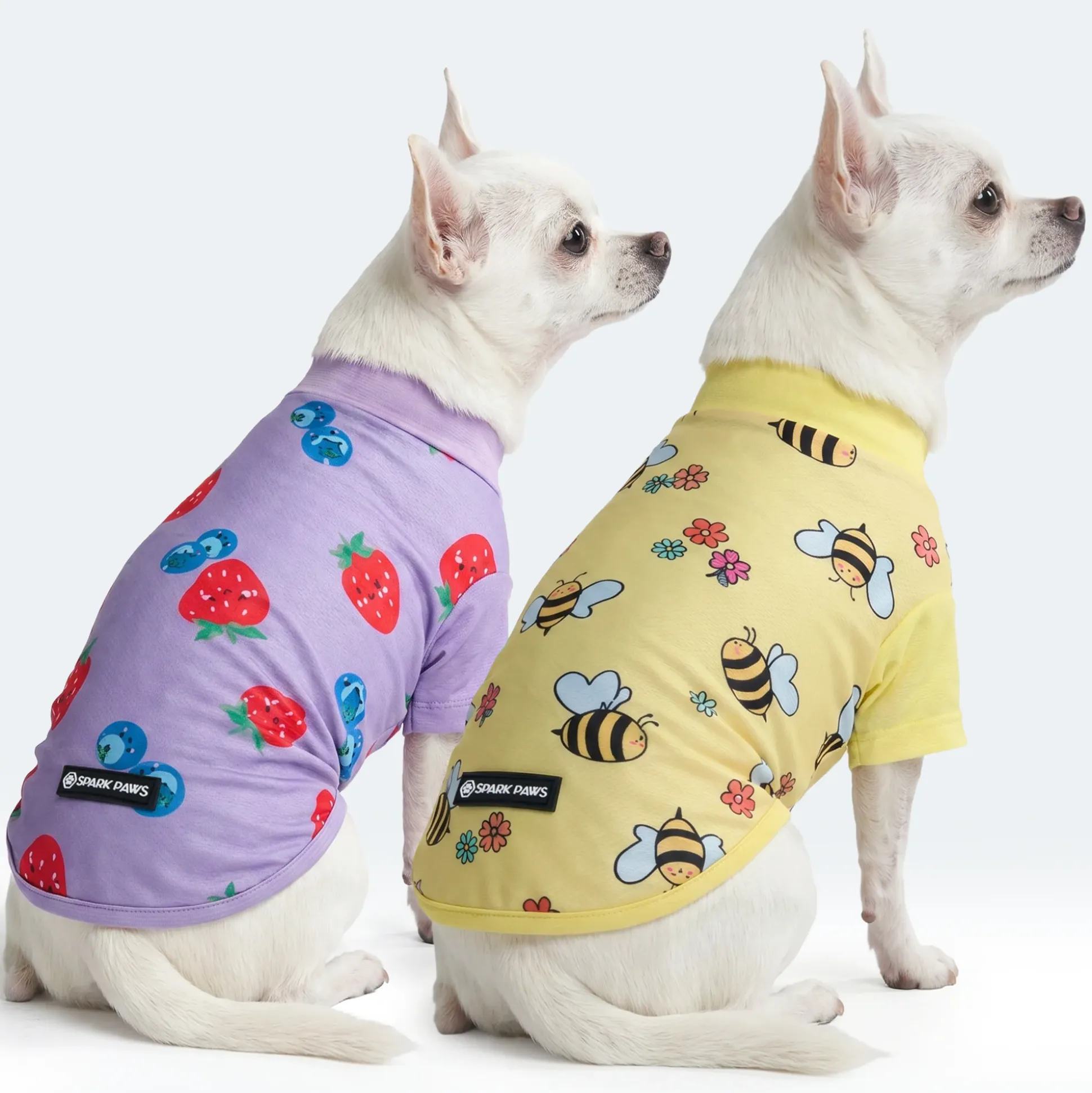 Sunblock Dog T-Shirt 2-pack