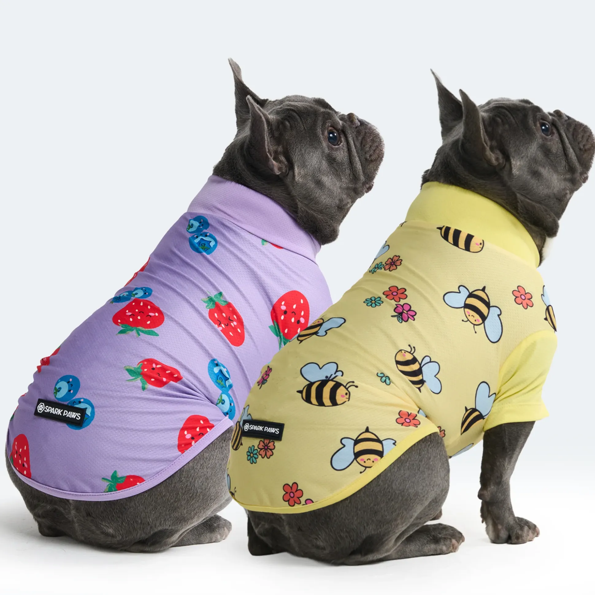 Sunblock Dog T-Shirt 2-pack