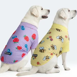 Sunblock Dog T-Shirt 2-pack