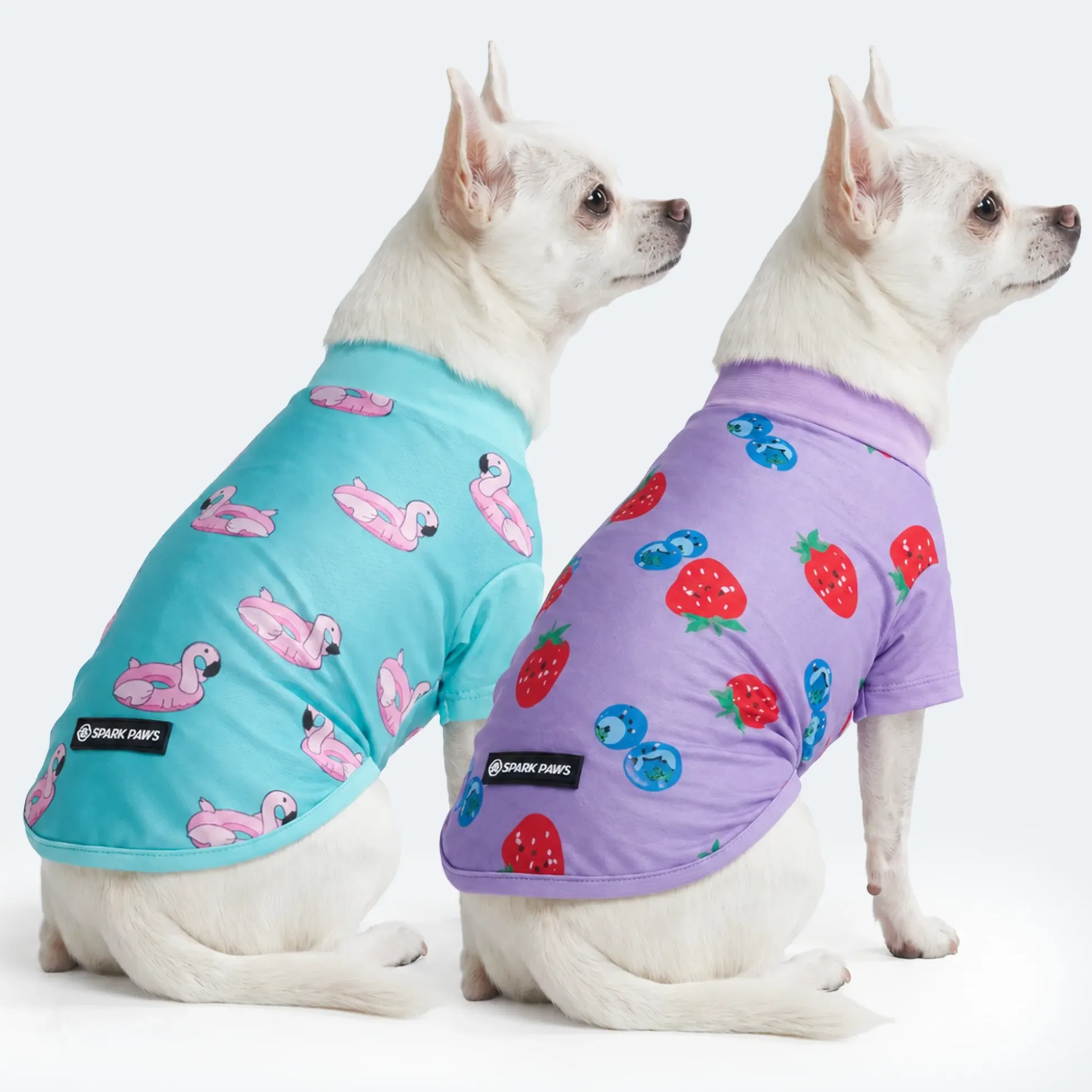 Sunblock Dog T-Shirt 2-pack