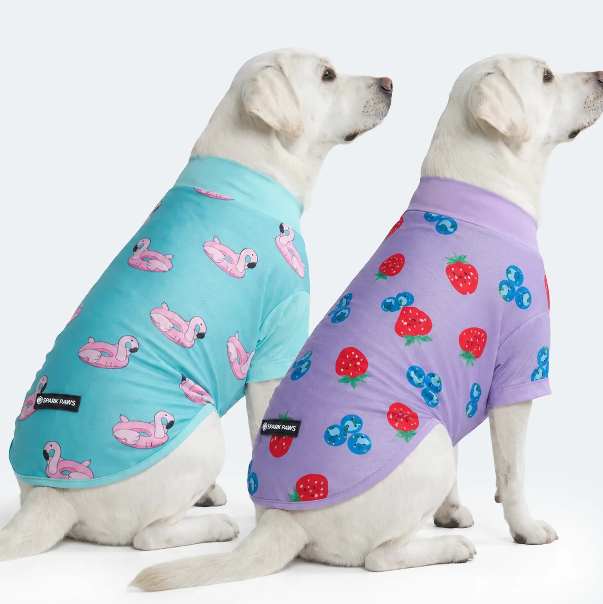 Sunblock Dog T-Shirt 2-pack