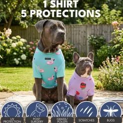 Sunblock Dog T-Shirt 2-pack