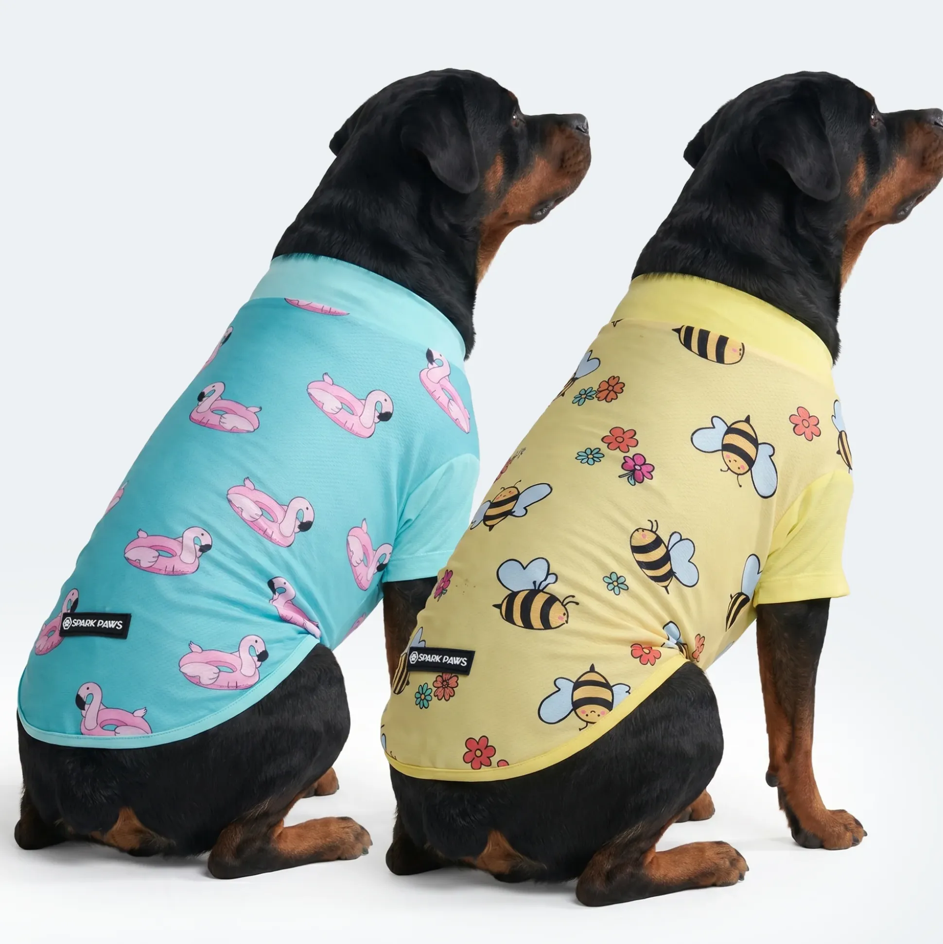 Sunblock Dog T-Shirt 2-pack