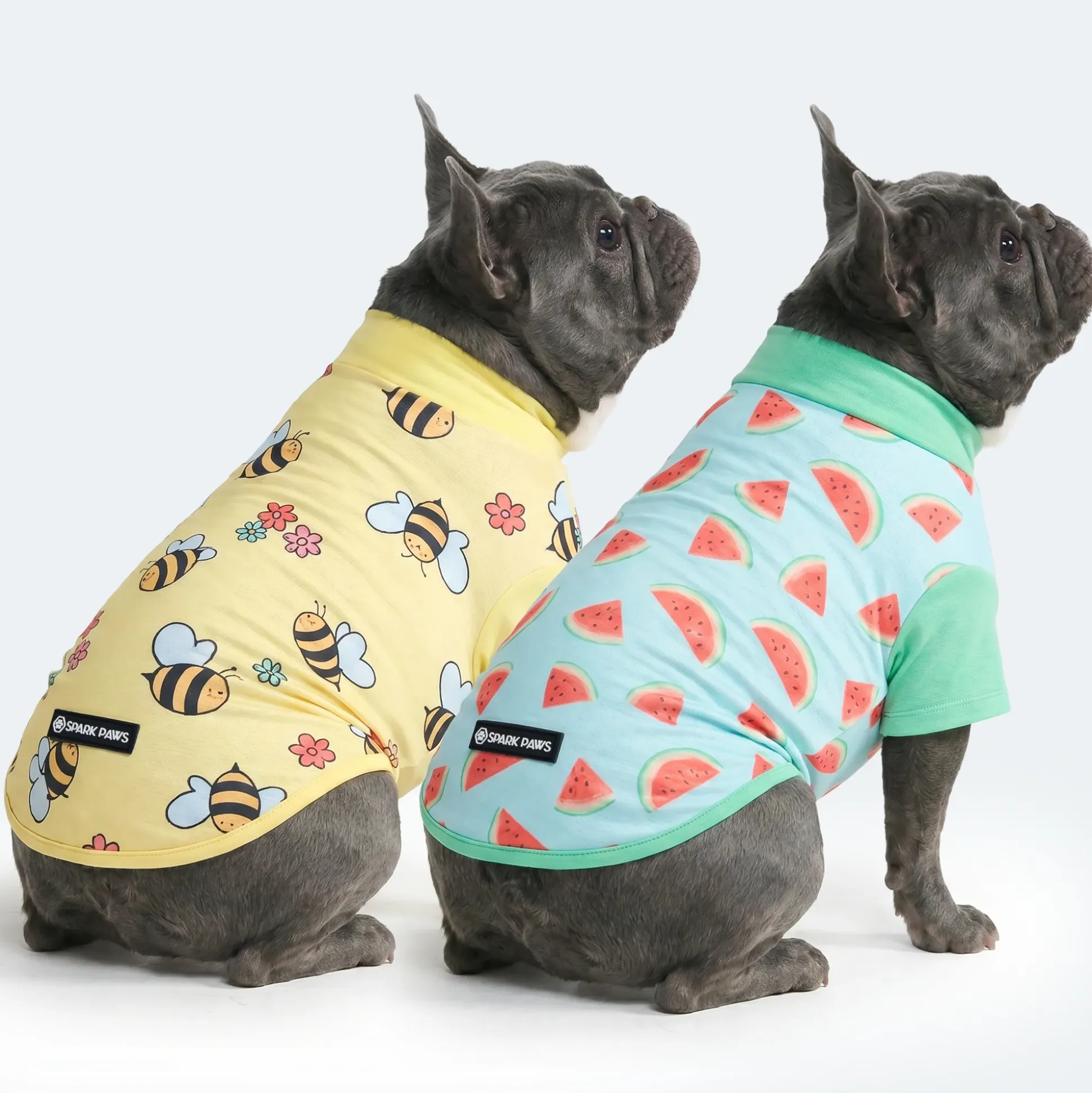 Sunblock Dog T-Shirt 2-pack