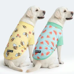 Sunblock Dog T-Shirt 2-pack