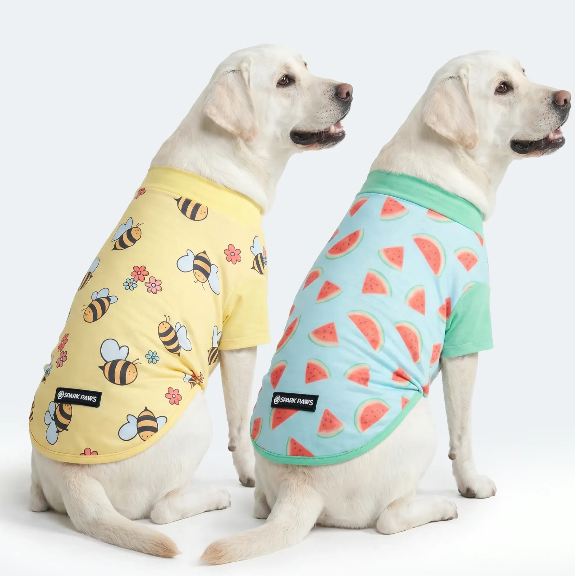 Sunblock Dog T-Shirt 2-pack