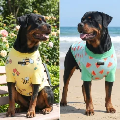 Sunblock Dog T-Shirt 2-pack