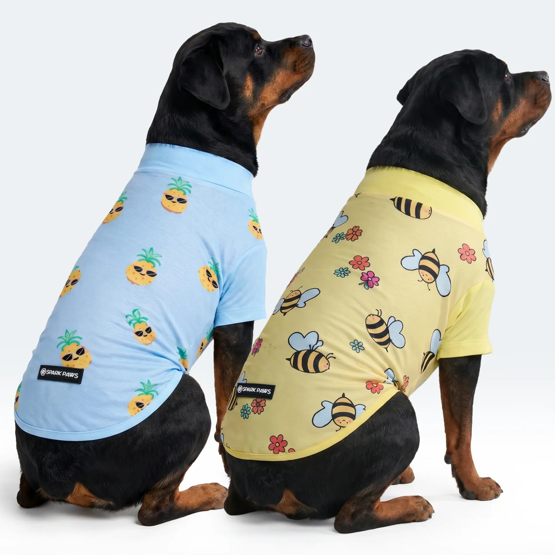 Sunblock Dog T-Shirt 2-pack