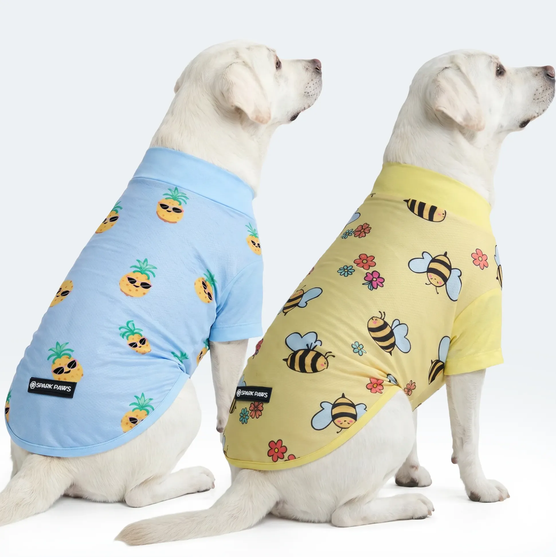 Sunblock Dog T-Shirt 2-pack