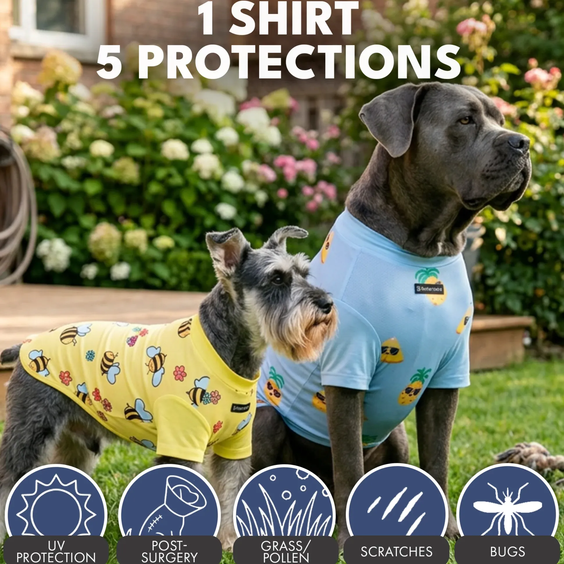Sunblock Dog T-Shirt 2-pack