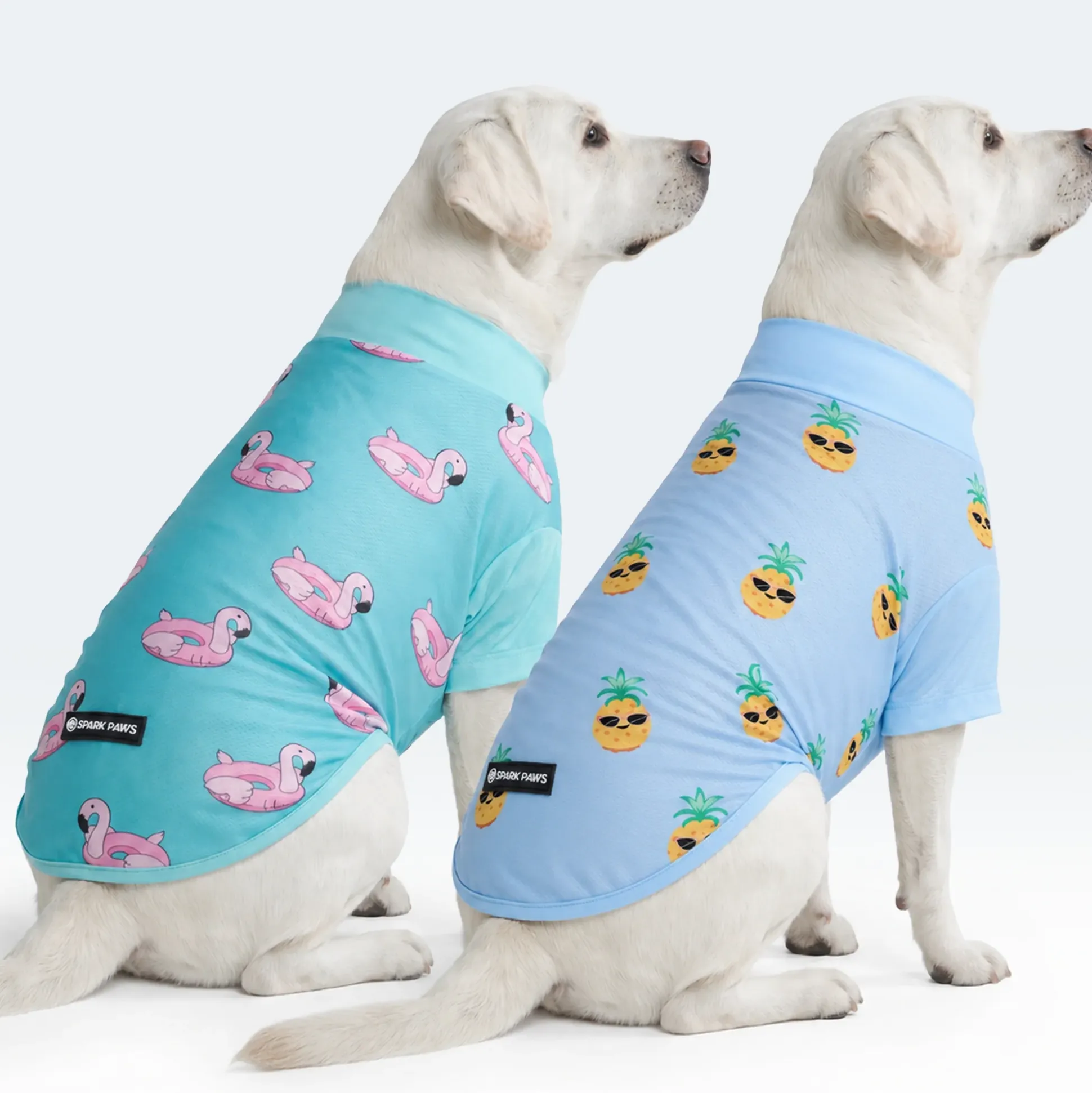 Sunblock Dog T-Shirt 2-pack