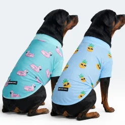 Sunblock Dog T-Shirt 2-pack