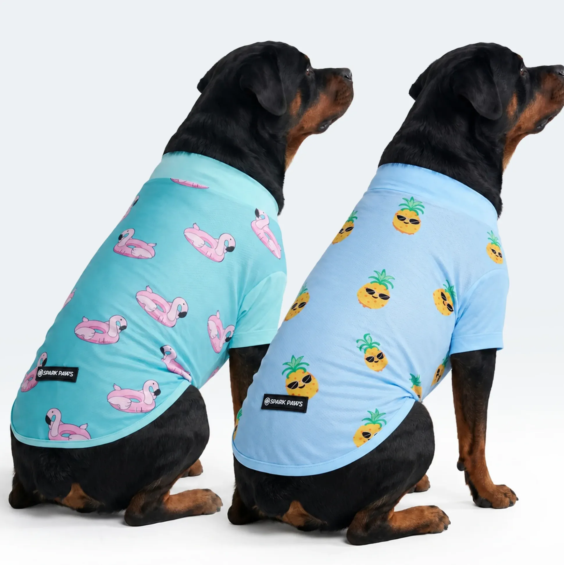 Sunblock Dog T-Shirt 2-pack