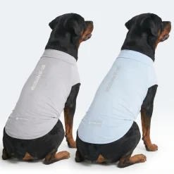 Sunblock Dog T-Shirt 2-pack