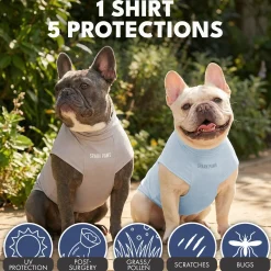 Sunblock Dog T-Shirt 2-pack
