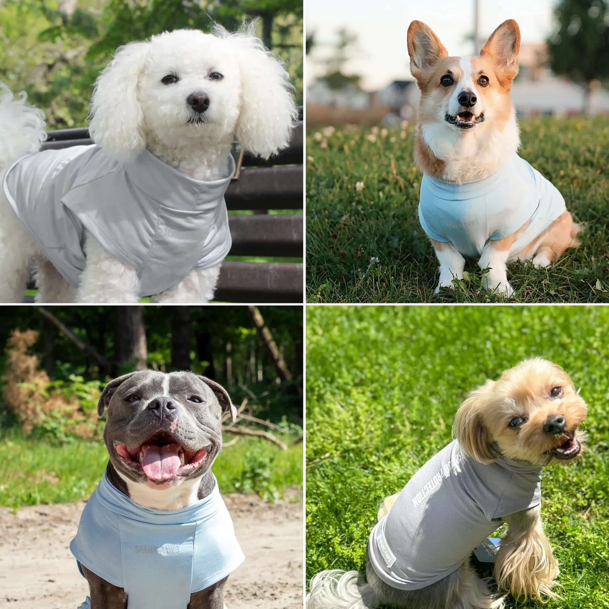 Sunblock Dog T-Shirt 2-pack