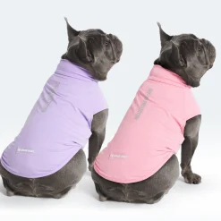 Sunblock Dog T-Shirt 2-pack