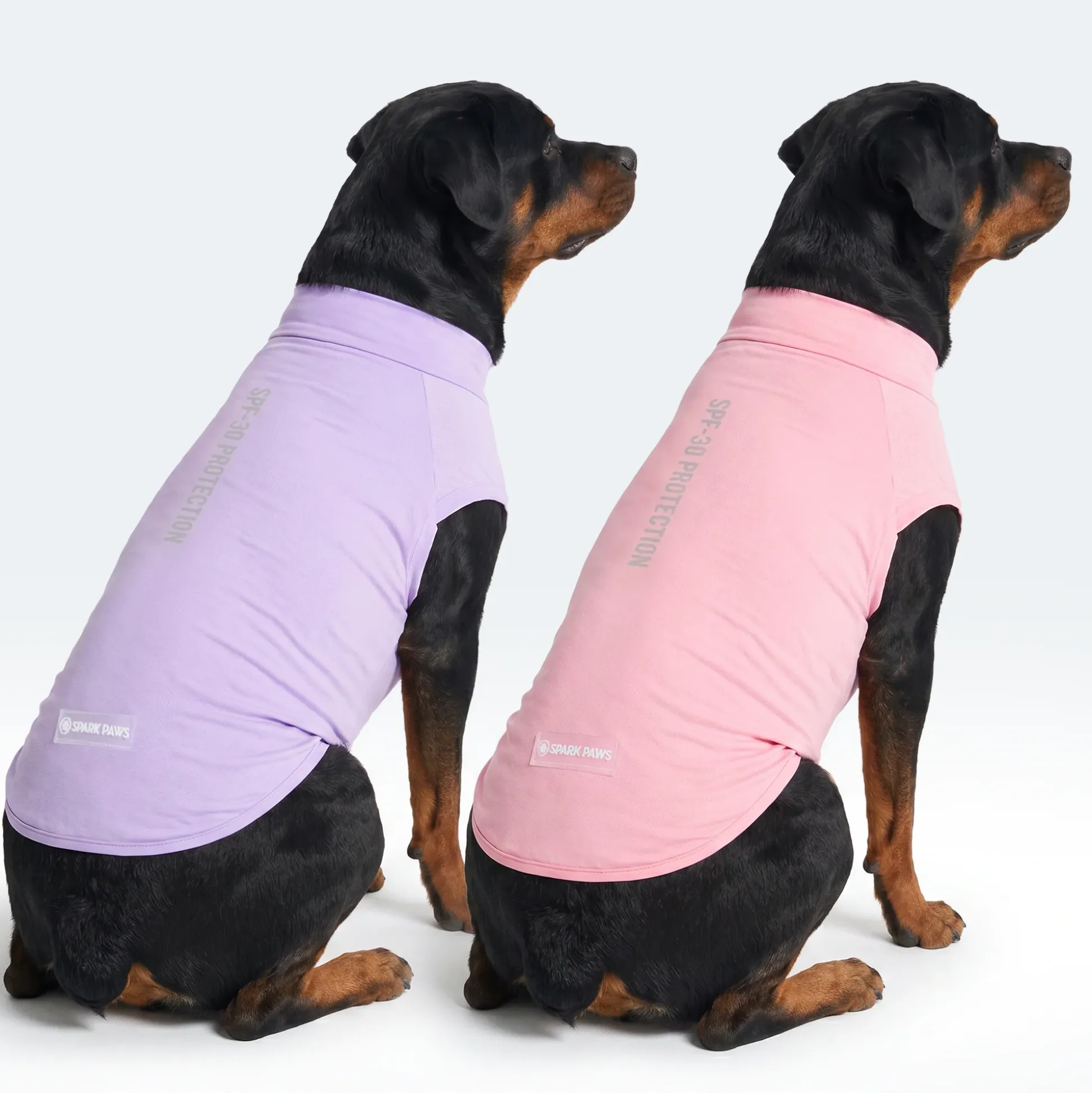 Sunblock Dog T-Shirt 2-pack