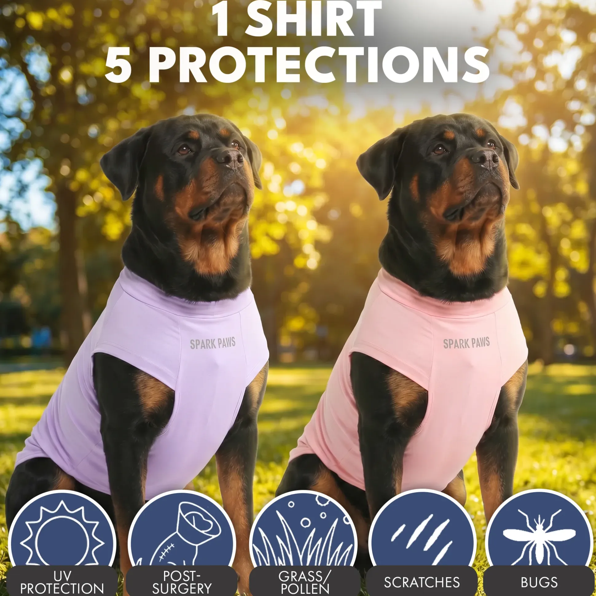 Sunblock Dog T-Shirt 2-pack