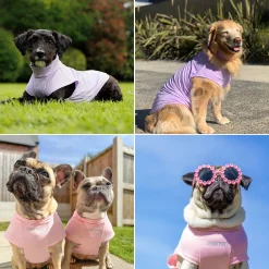 Sunblock Dog T-Shirt 2-pack