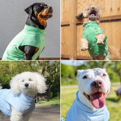 Sunblock Dog T-Shirt 2-pack
