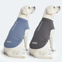Sunblock Dog T-Shirt 2-pack