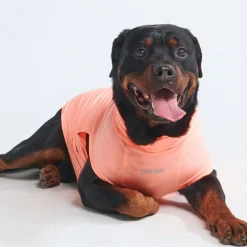 Sunblock Dog T-Shirt - Peach