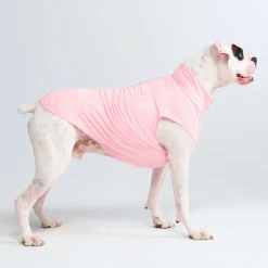 Sunblock Dog T-Shirt - Pink