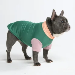 Sunblock Dog T-Shirt - Pistachio