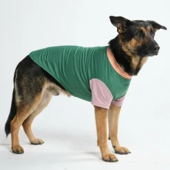 Sunblock Dog T-Shirt - Pistachio