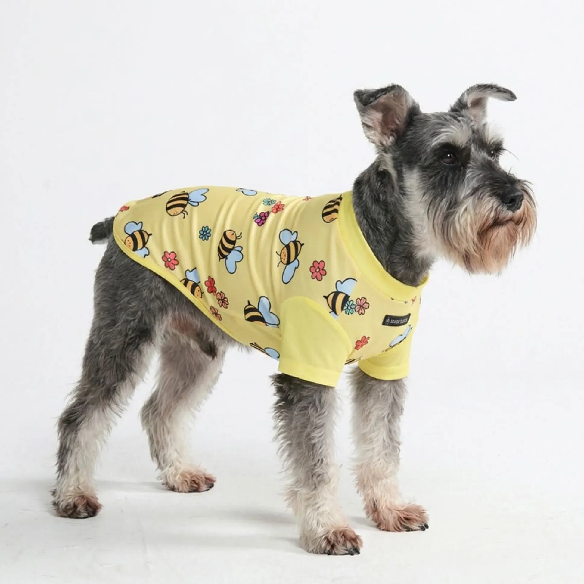Sunblock Dog T-Shirt - Prints