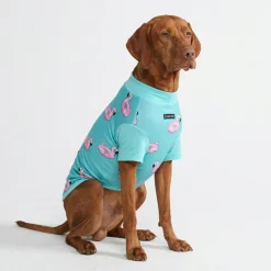 Sunblock Dog T-Shirt - Prints