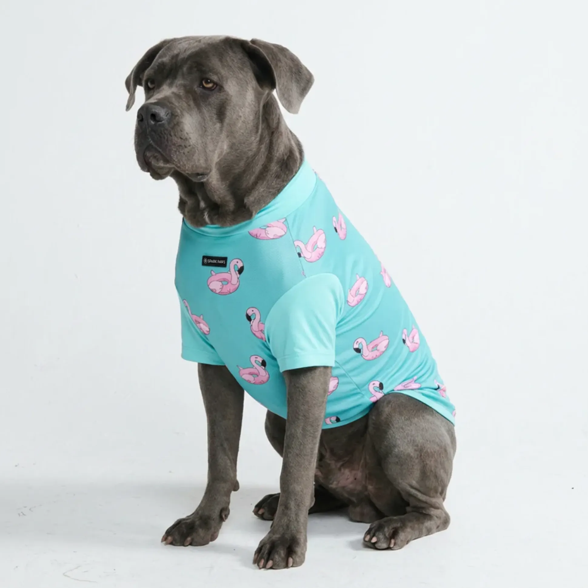 Sunblock Dog T-Shirt - Prints