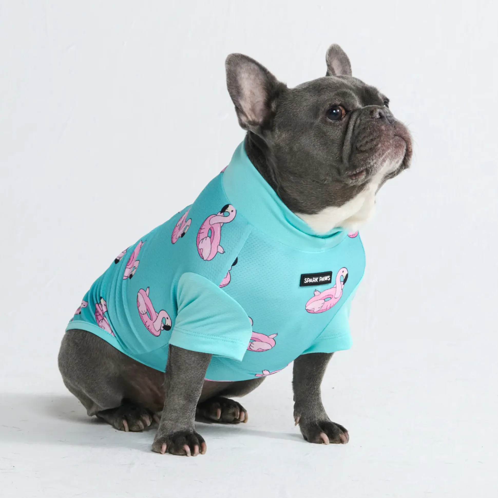 Sunblock Dog T-Shirt - Prints
