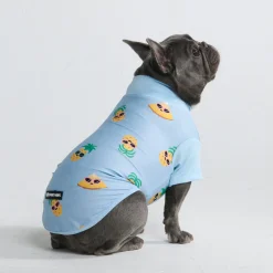 Sunblock Dog T-Shirt - Prints