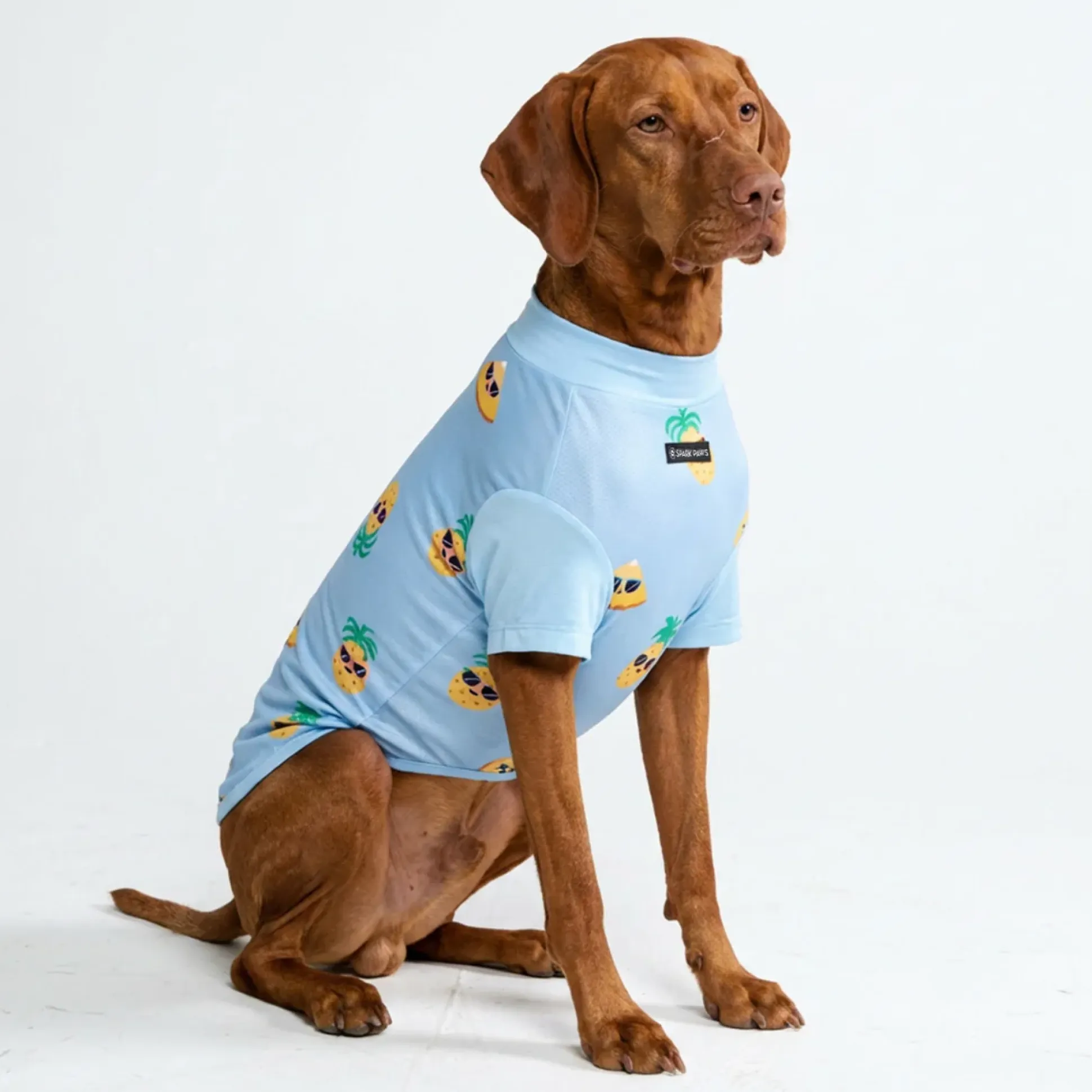 Sunblock Dog T-Shirt - Prints