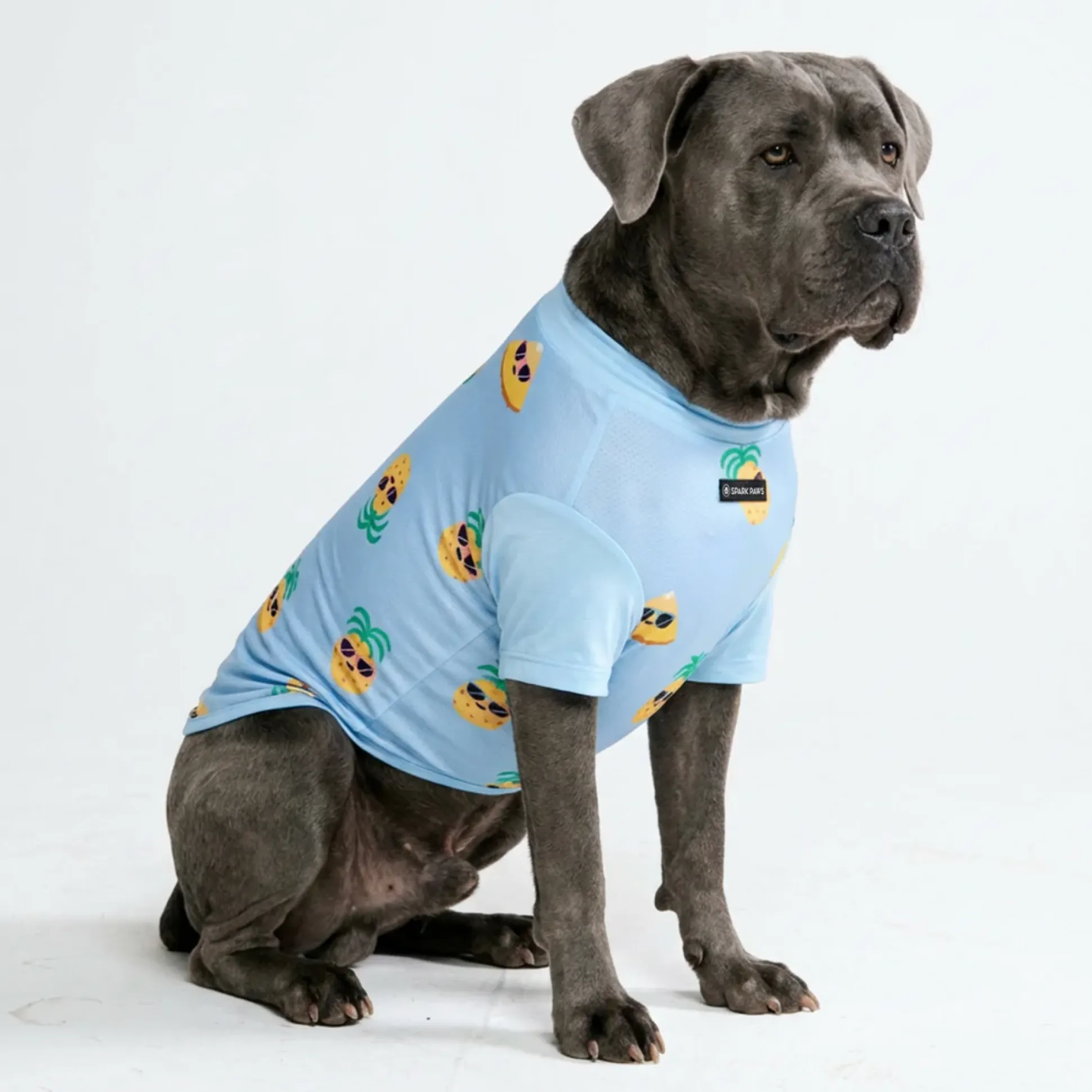 Sunblock Dog T-Shirt - Prints